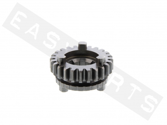 Gearbox sprocket 6V TOP PERF. Z.24 secundary AM6 Serie1 '96-'11